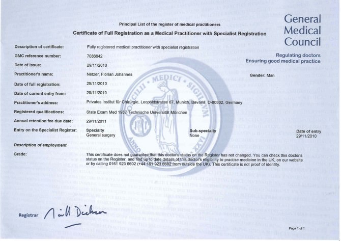 GMC Document on Netzer and Veins